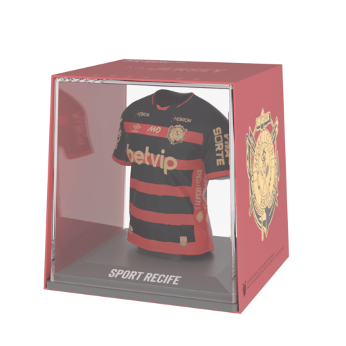 SC Recife 2024